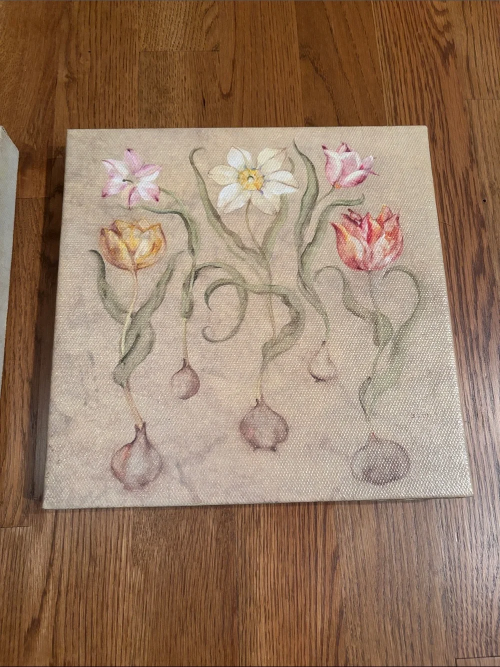 Dancing Bulbs by Cheri Blum